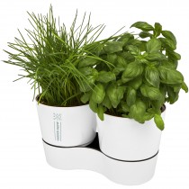 Mepal Herbs dubbele keukenpot