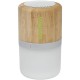 Aurea bamboe Bluetooth®-speaker met licht 