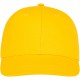 Ares 6 panel cap