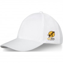 Drake 6 panel trucker-cap