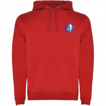 Urban hoodie voor heren