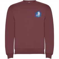 Clasica unisex trui met ronde hals