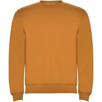 Clasica unisex trui met ronde hals