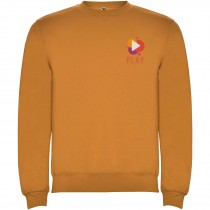 Clasica unisex trui met ronde hals