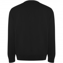 Batian unisex sweater met ronde hals